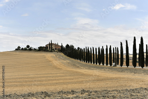 Zypressenallee mit Bauernhaus, südlich von Pienza, Toscana, Italien, Europa