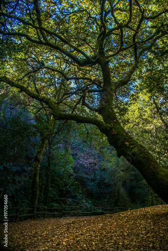 Sever do Vouga, Portugal 