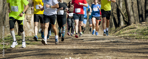 Marathon race  at spring