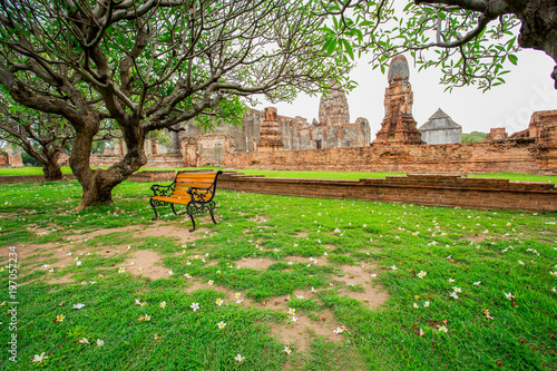 Fototapeta Naklejka Na Ścianę i Meble -  Formal Garden, Ayuthaya, Thailand, Buddhism, Temple - Building