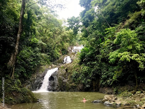 Lush greenery and cascading water at the beautiful Argyle Falls near Roxborough on the Caribbean island of Tobago (West Indies) with a tourist swimming