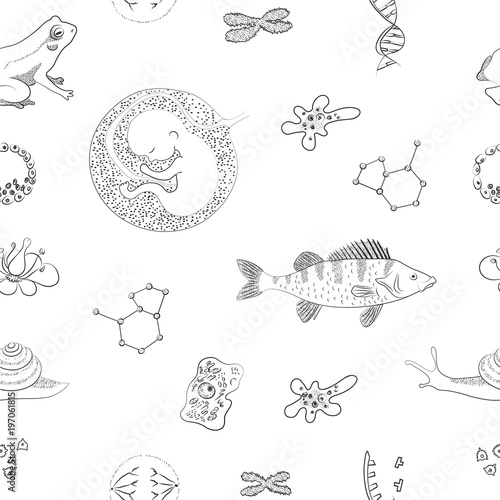 Biology. Flower, DNA, cell, chromosomes, perch fish, molecule, amoeba, human embrio. Vector sketch pattern.
