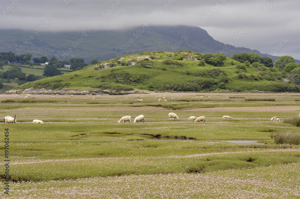 Dwyryd Estuary