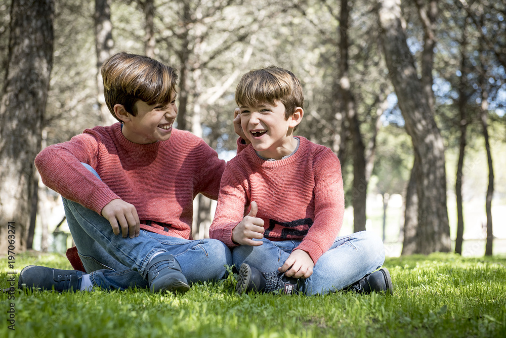 Fototapeta premium brothers together in the park