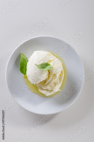 fresh italian mozzarella on white plate