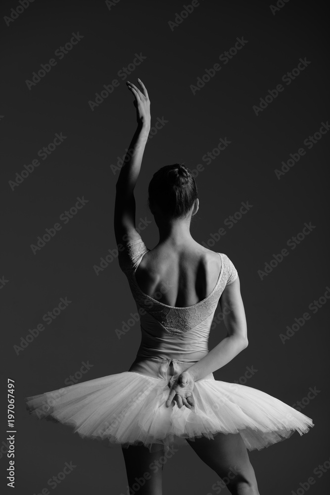 Fototapeta premium Young beautiful ballerina is posing in studio