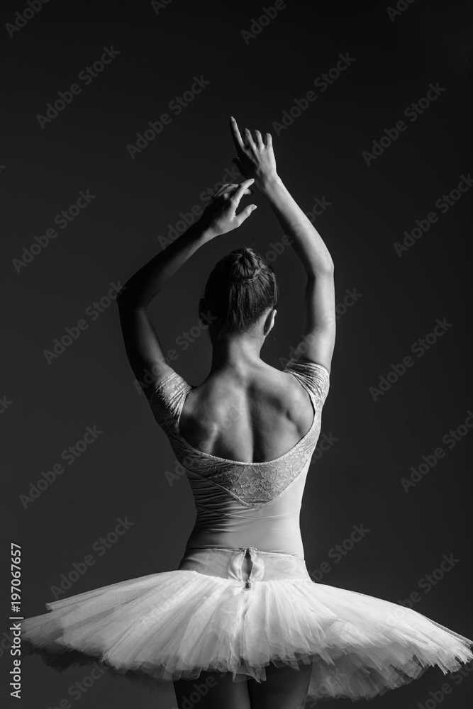 Fototapeta premium Young beautiful ballerina is posing in studio