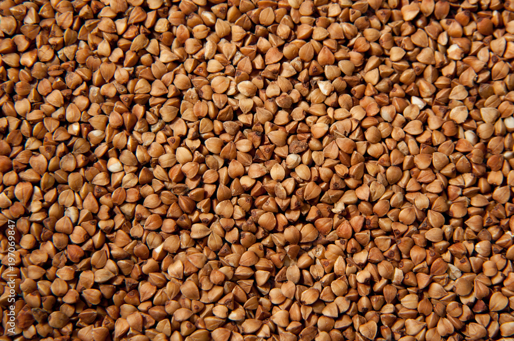 Buckwheat grains background texture - healthy food. Macro photo Buckwheat grains background texture - healthy food. Macro photo