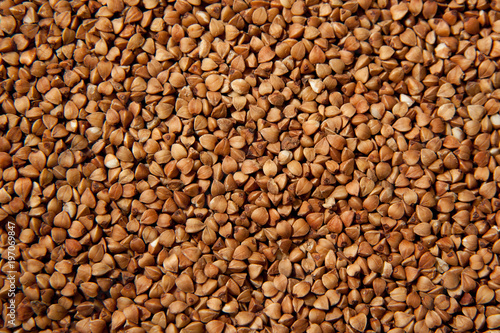 Buckwheat grains background texture - healthy food. Macro photo