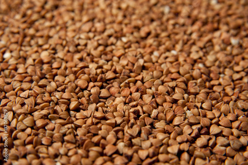 Buckwheat grains background - healthy food. Macro photo