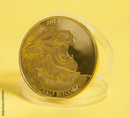 Half bitcoin with lion  photo