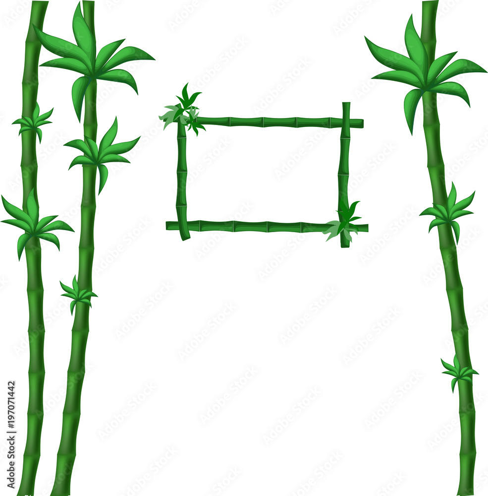 Naklejka premium Green bamboo on white square frame with frame