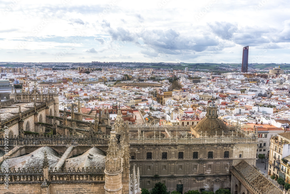 Seville cathedral and city view