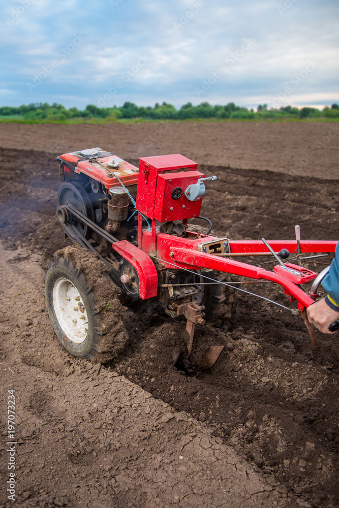 Farmer plows the land with a cultivator, preparing it for planting vegetables Farmer plows the land with a cultivator, preparing it for planting vegetables