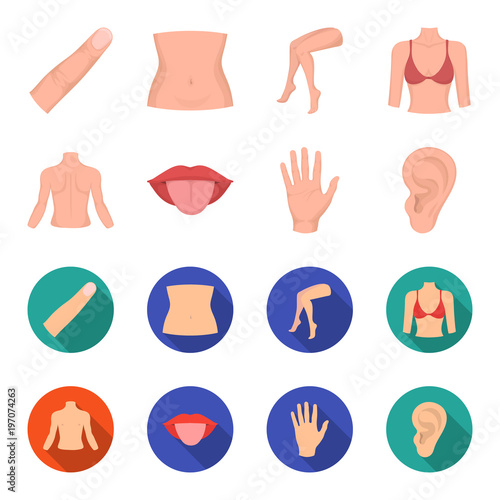 Back of the person, mouth, hand, ear. Part of the body set collection icons in cartoon,flat style vector symbol stock illustration web.