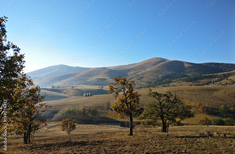 Naklejka premium Zlatibor hills in the morning