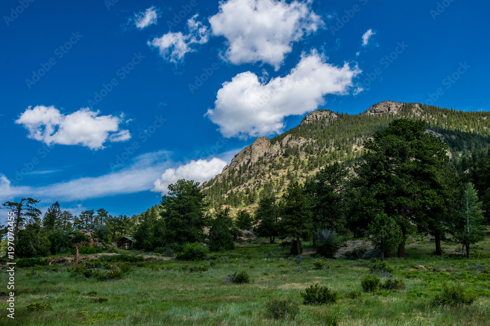 Green summer mountain valley, Rocky Mountain National Park. Colorado. Nature of North America, USA