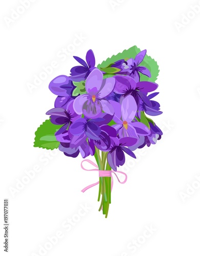 Small cute bouquet of violets with leaves. Vector illustration.