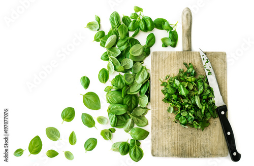 Fresh basil leaves on wooden cutting  board isolated on white background. Top view..