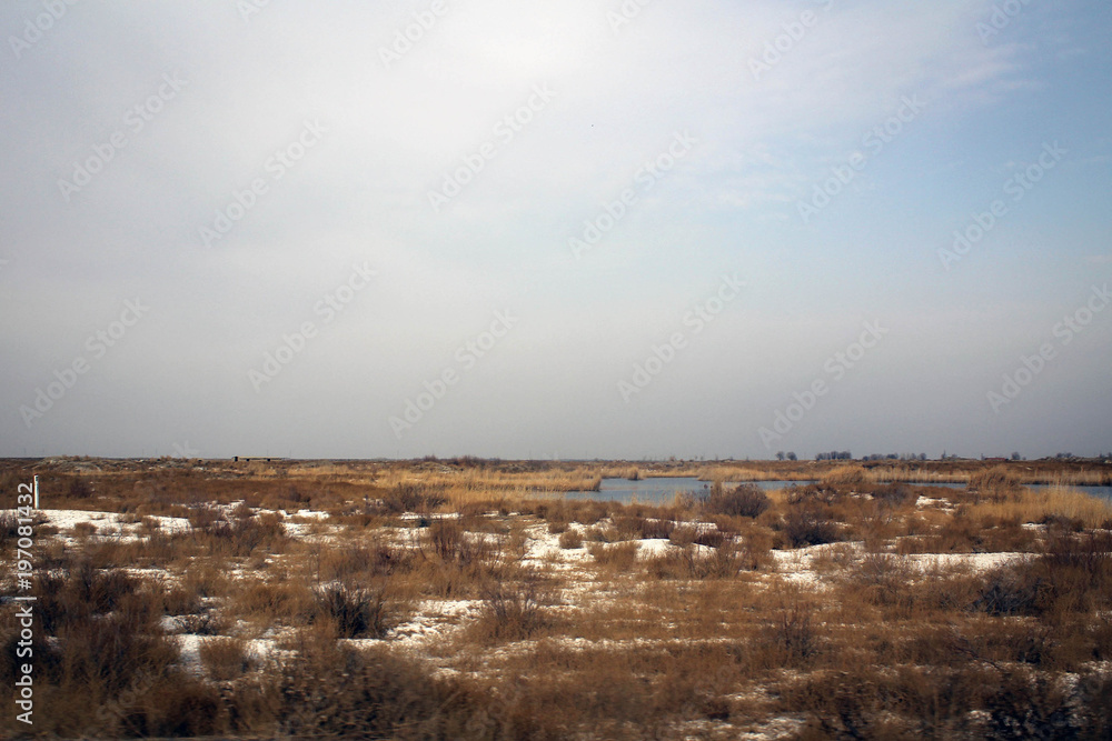 Landscape of Kyzylkum Desert, Uzbekistan