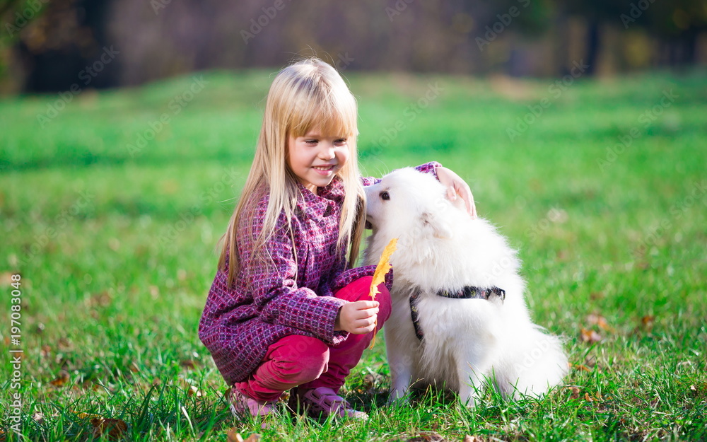 Girl, dog, fun, forest Girl, dog, fun, forest