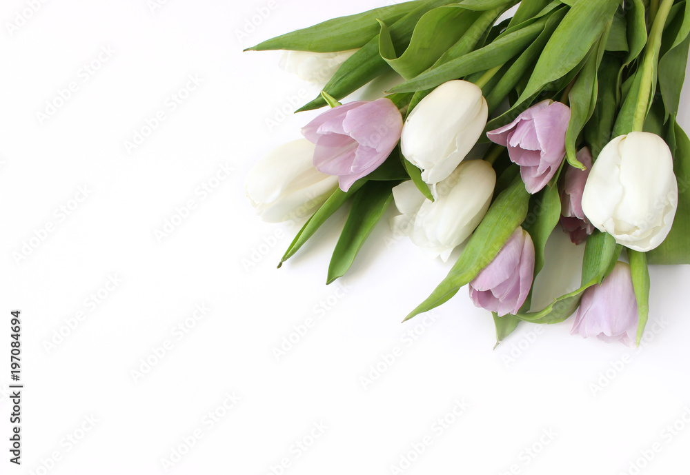 Spring styled stock photo. Easter concept. Feminine desktop scene with bouquet of white and violet tulip flowers on white table background. Empty space. Flat lay, top view. Spring styled stock photo. Easter concept. Feminine desktop scene with bouquet of white and violet tulip flowers on white table background. Empty space. Flat lay, top view.