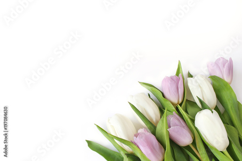 Fototapeta Naklejka Na Ścianę i Meble -  Spring styled stock photo. Easter concept. Feminine desktop scene with bouquet of white and violet tulip flowers on white table background. Empty space. Flat lay, top view.