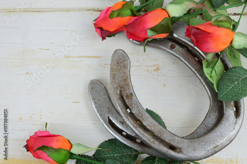 Two old horse shoes with silk red roses on a white-washed rustic wooden background makes a nice image with contrast of silk and steel. Good for Kentucky Derby or any other equestrian theme.