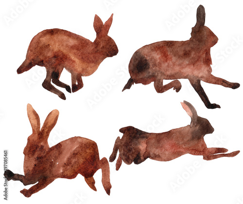 Set of rabbit illustration.