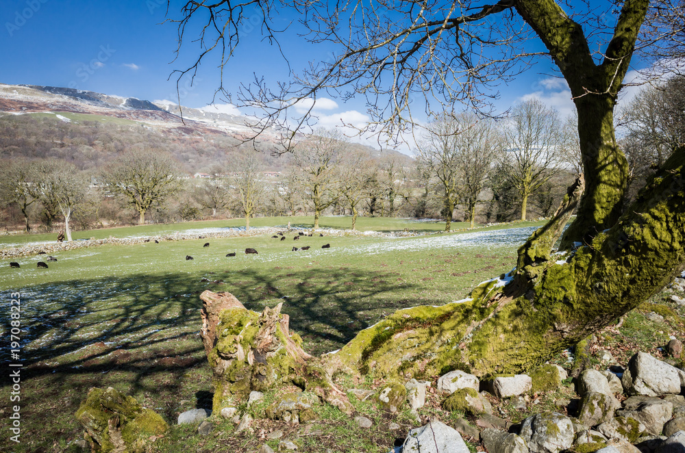Fototapeta premium panorama of a welsh countryside with snow and sunlight