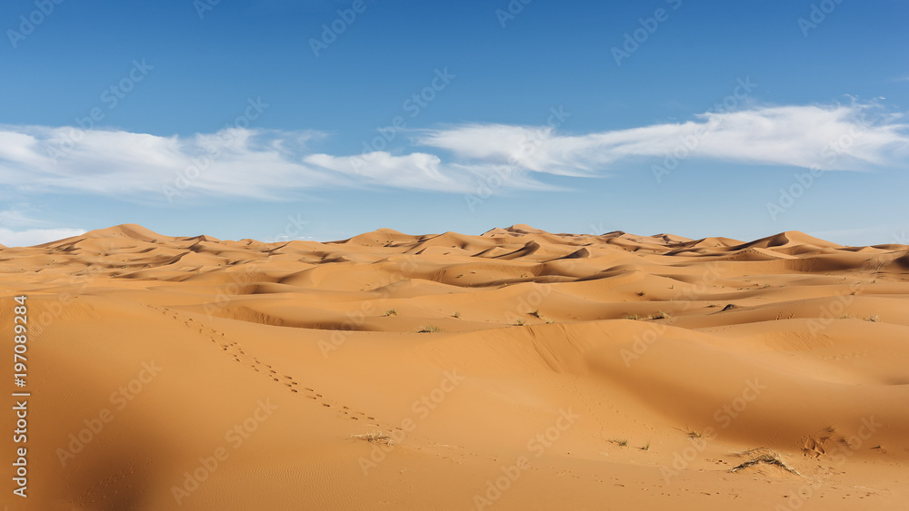 The desert landscape and sand dunes