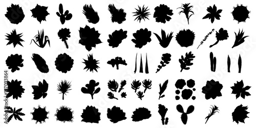 Large black silhouettes cactus set. Hand drawn plants. Exotic floral sketch illustration collection. Different cactuses in monochrome style. Vector.