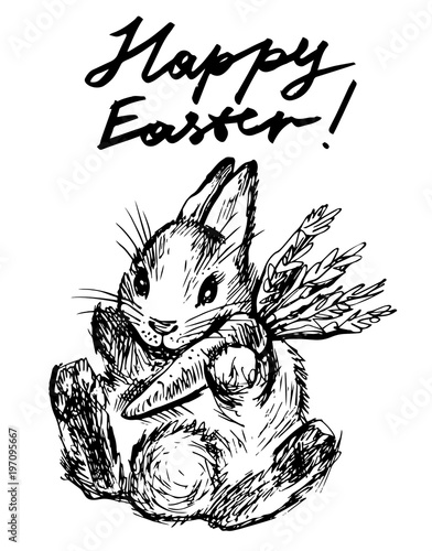 Wallpaper Mural Bunny. Vector hand drawn graphic illustration. Torontodigital.ca