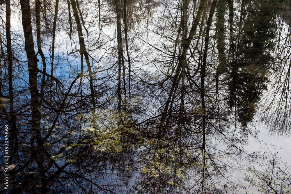 Lake Lake