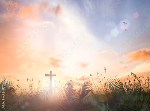 Palm Sunday concept: Silhouette cross with palm leaves over meadow sunset background