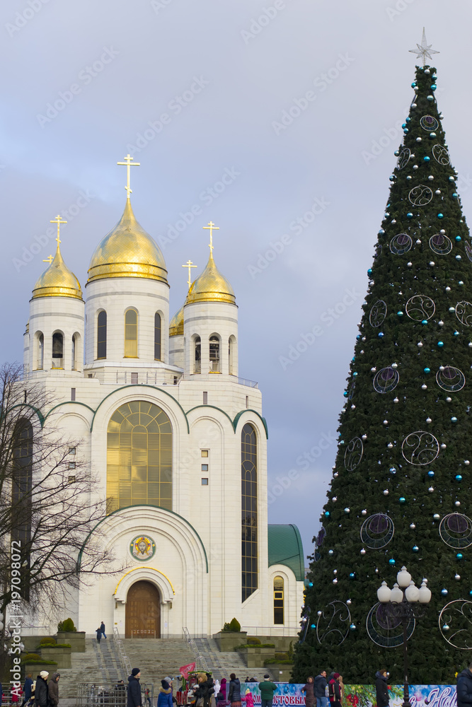 Obraz premium Main new year tree of the city on the Victory square