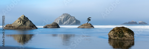 Fotografija Lone Tree on Oregon Coast