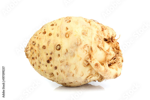 Celery root vegetable isolated.
