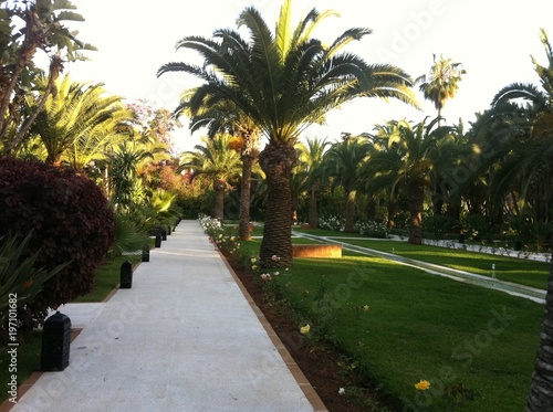 Hotel Palmer jardin