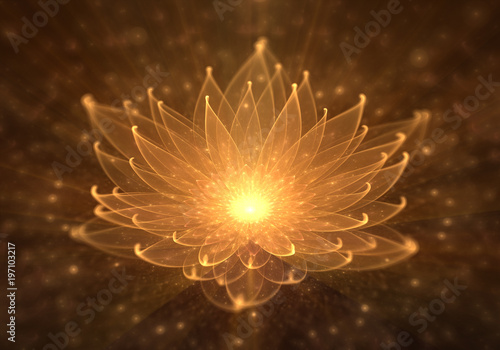 Water Lily, Radiant Orange Lotus with Rays of Light photo