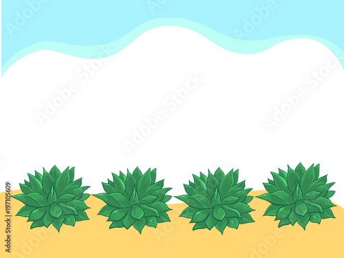 Simply background echeveria in row