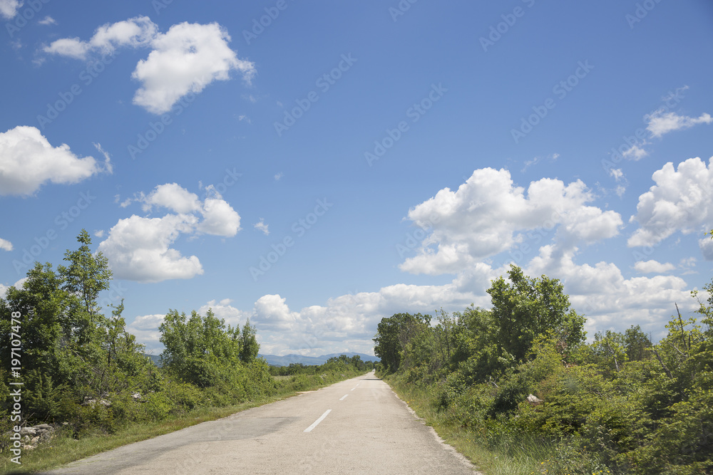 road going through the sunny spring or summer countryside in south Croatia