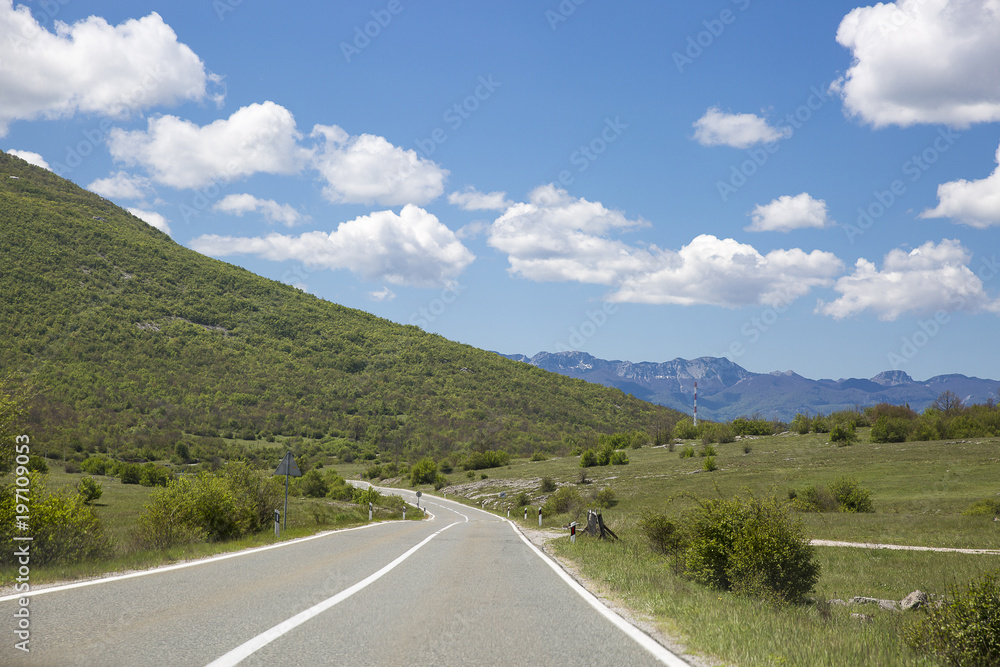 road going through the sunny spring or summer countryside in south Croatia
