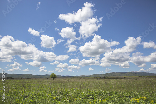 Konstfotografi Countryside landscape at spring with field and mountain in the background and bl