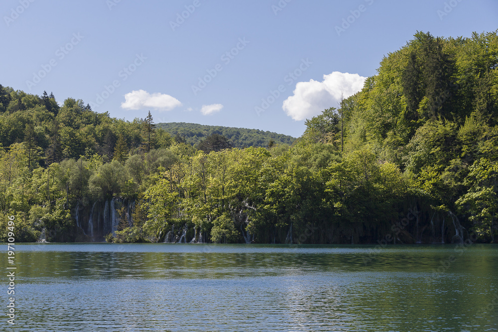 Fototapeta premium beautiful nature at 