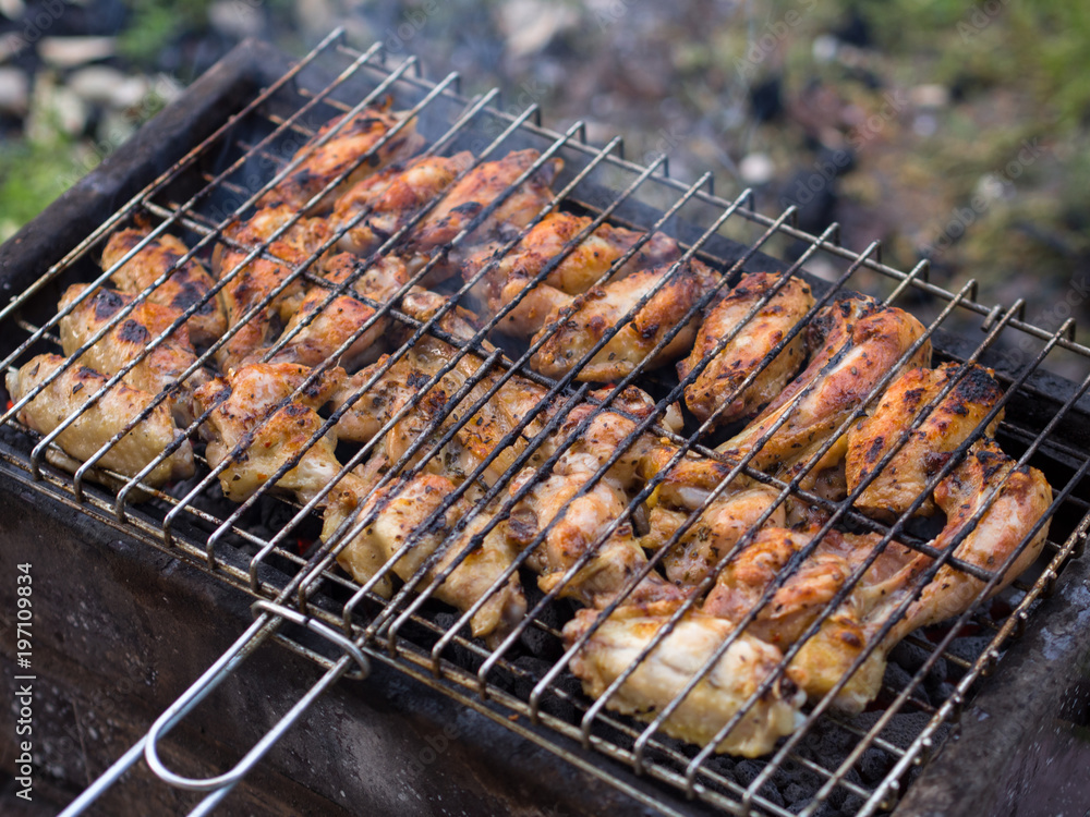 turkish grill and grilled chicken meat