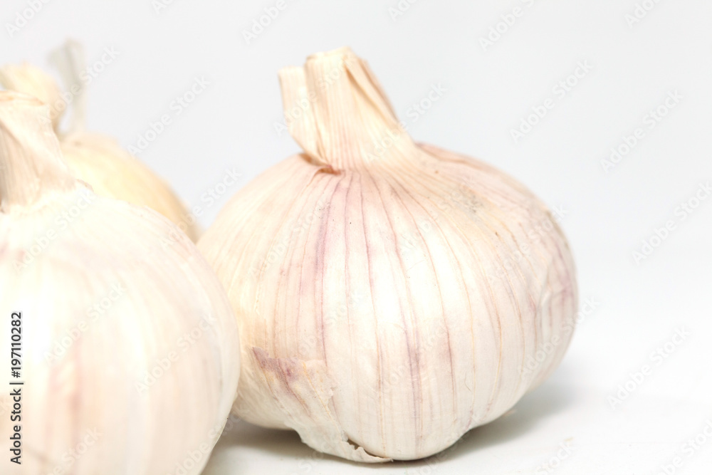 close up of garlic on white background close up of garlic on white background