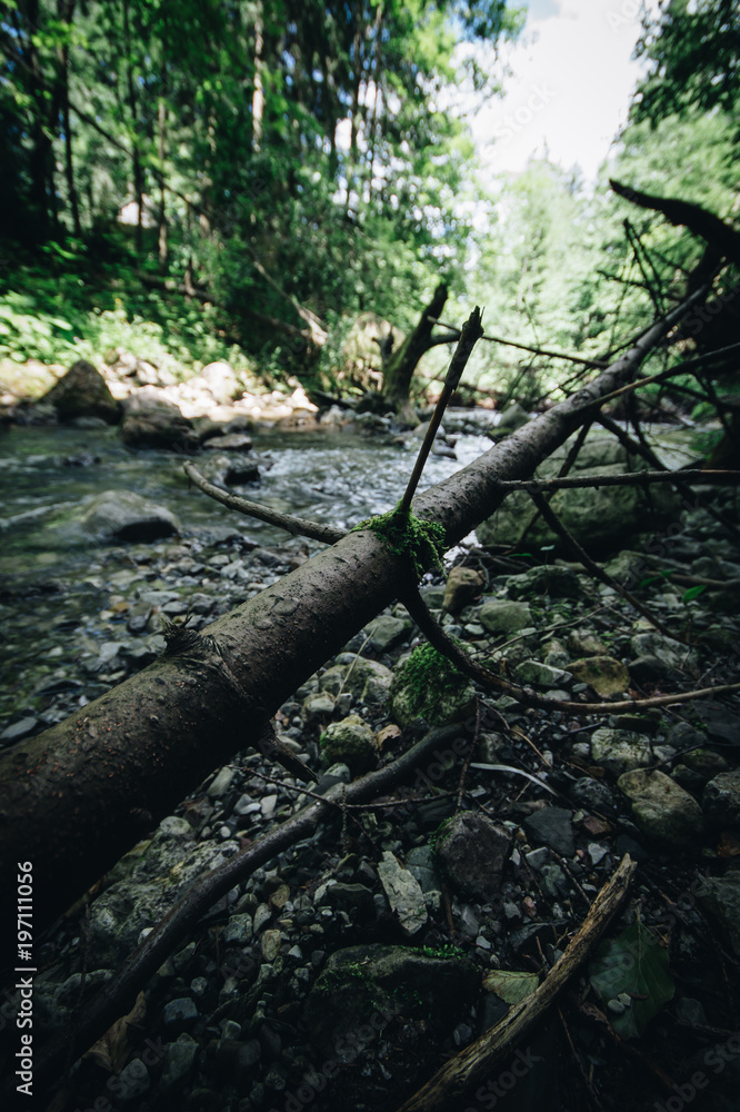 A wide mountain stream