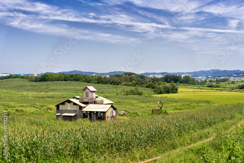 Wallpaper Mural 안성목장 Torontodigital.ca