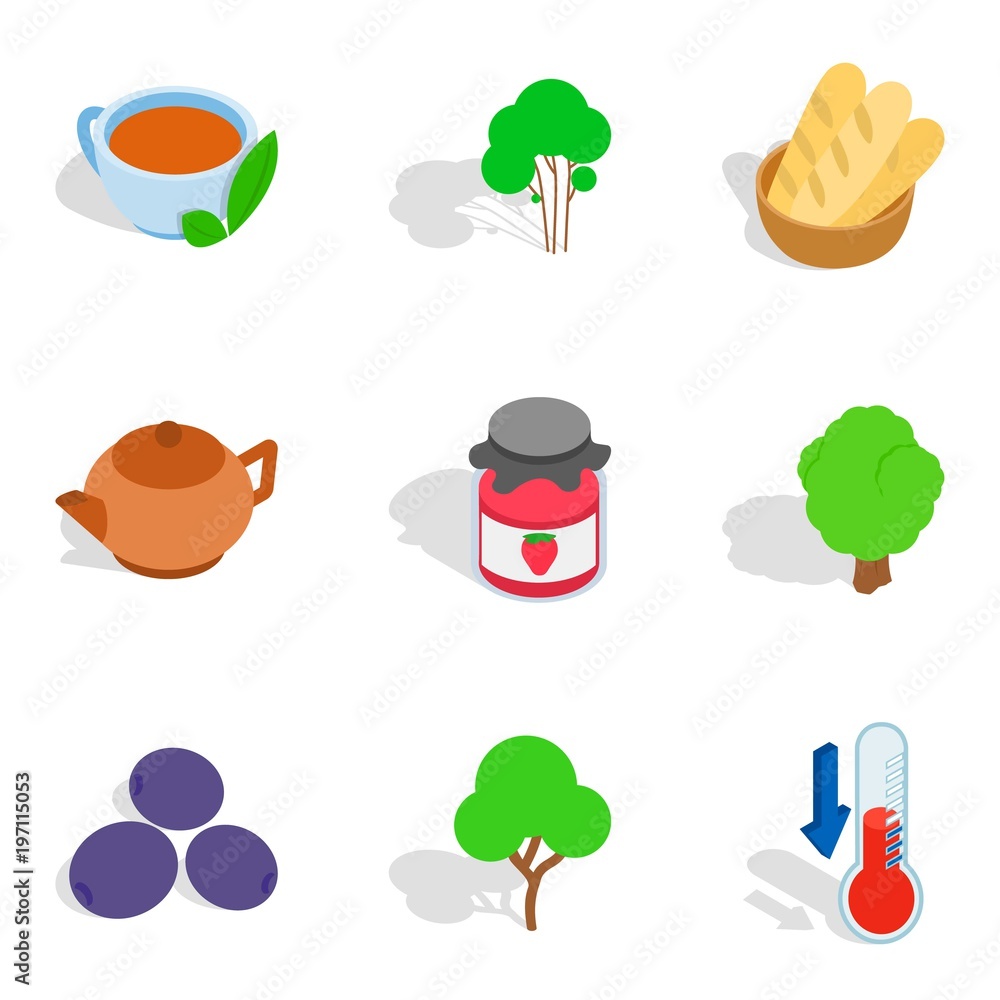 Herbal infusion icons set, isometric style Herbal infusion icons set, isometric style